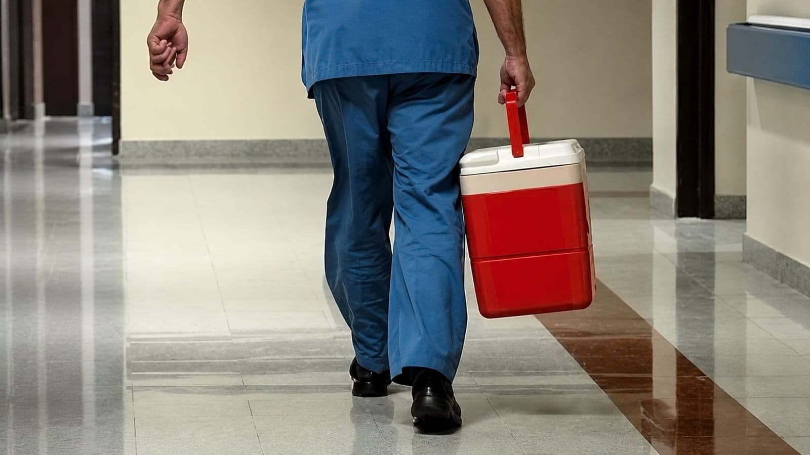 Organ Bağışında Dijital Dönem: 143 Bin 887 Kişi Vasiyet Oluşturdu