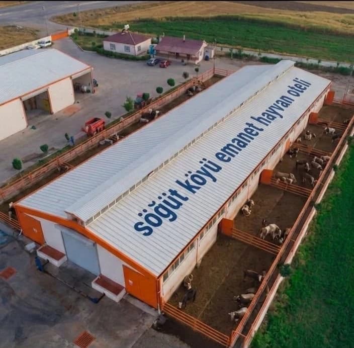 Hekimhan'da Türkiye'ye Örnek Proje: "Emanet Hayvan Oteli" ile Gurbetçilerin Hayvanları Güvende Olacak